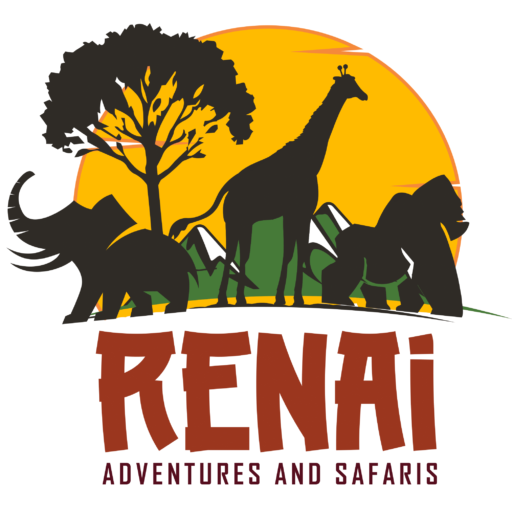Renai Safaris logo